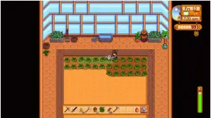 best greenhouse crops
