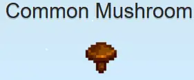 common-mushroom