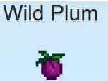 wild-plum